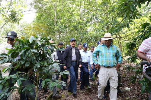 Foro Medina superrvisa proyectos de reforestación hidrográficas
