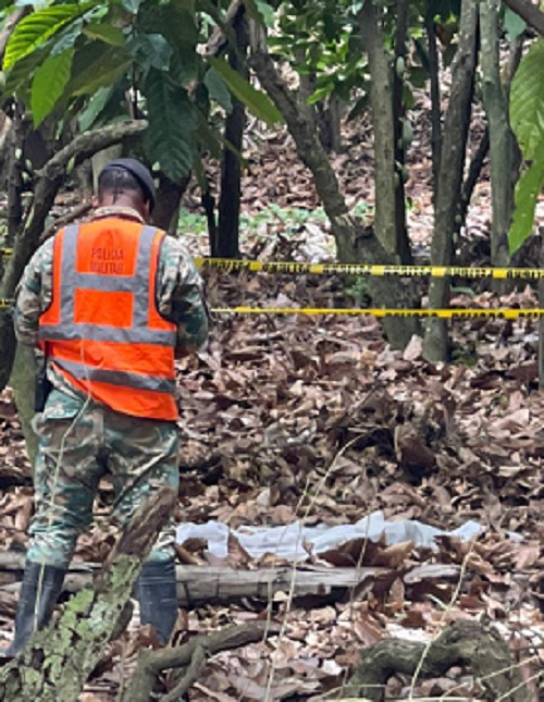 Foto osamenta niña deapareida