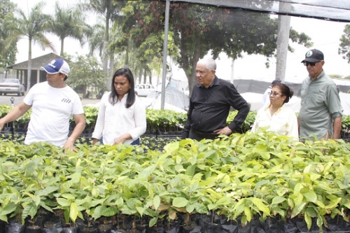 Foto vivero de jacagua