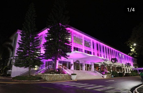 Foto Palacio Municipalcon luces color rosado