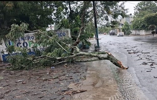 FOTO DAÑOS EN cOTUÍ POR LLUVIAS